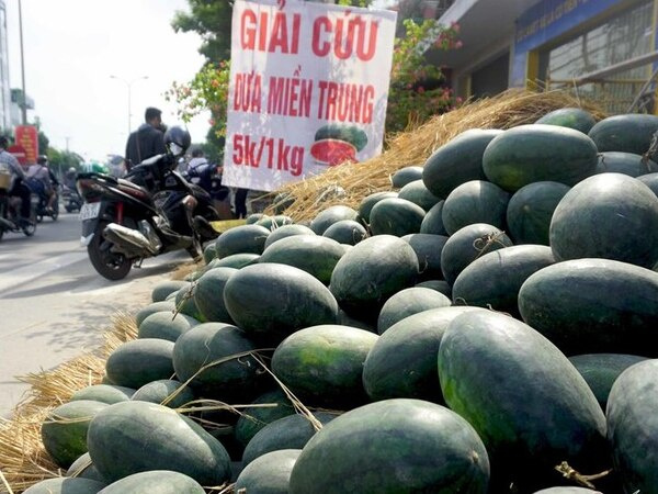 Dưa hấu 5 nghìn, thanh long 8 nghìn: Phơi nắng vỉa hè chờ giải cứu