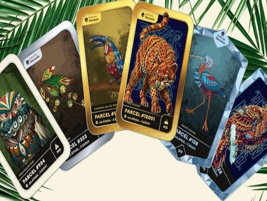 NFT tham gia bảo tồn đa dạng sinh học trong kỷ nguyên số