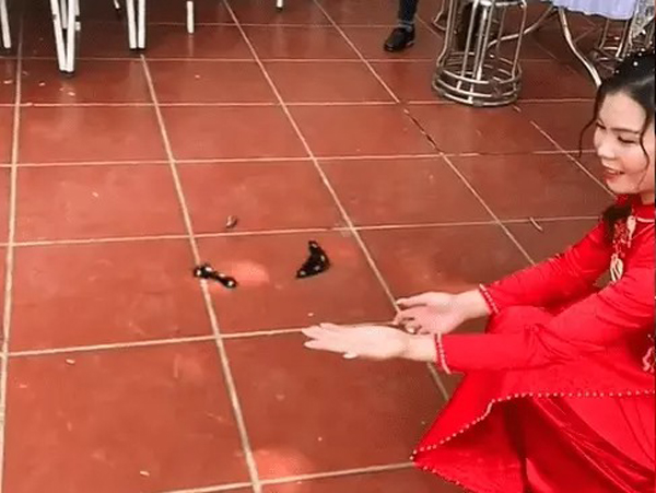Xôn xao hình ảnh đám cưới xuất hiện đôi bướm lạ, netizen nghi cô dâu chiêu trò