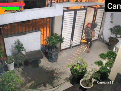 Đêm hôm leo tường hì hục ăn cắp cây cảnh, tên trộm 'bất ngờ' phát hiện 1 điều không tưởng từ chủ nhà