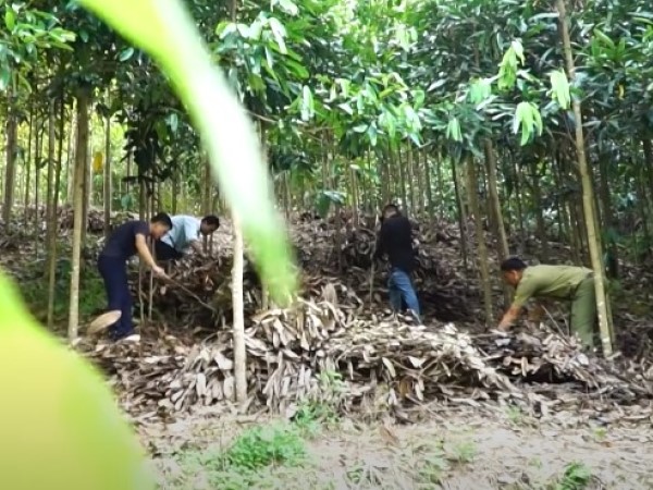 Hồ sơ vụ án: Bí ẩn xác cô gái bị vùi sâu dưới lớp cỏ úa