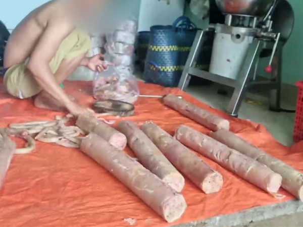 'Phù phép' thịt heo chết thối thành… giò chả