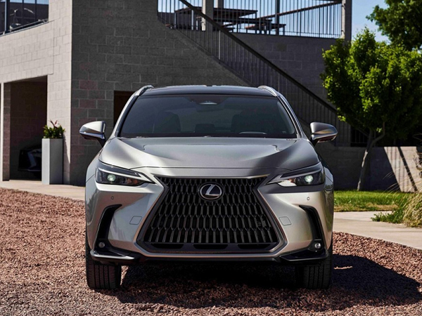 Lexus NX 2022 sẽ ra mắt Việt Nam ngay trong tháng 4 này