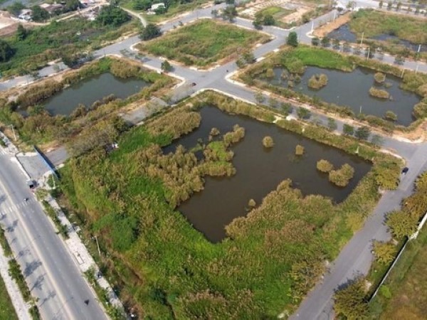 Hai doanh nghiệp xin trả góp tiền trúng đấu giá đất Thủ Thiêm sẽ bị phạt 1 tỷ mỗi ngày