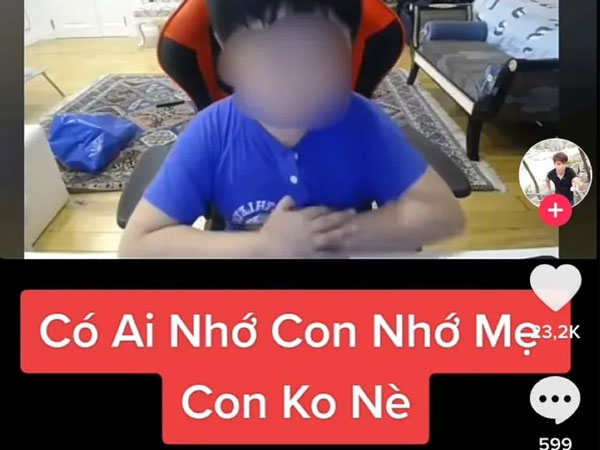 Bà Nguyễn Phương Hằng vừa bị bắt, quý tử đã bị lợi dụng để 'câu like' phản cảm