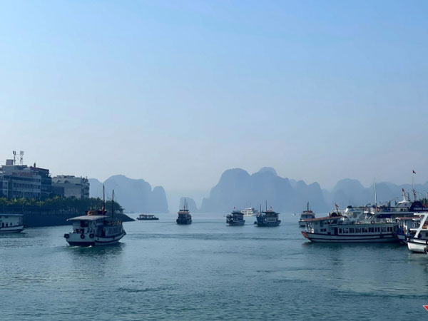 Tàu khách nối đuôi nhau ra vịnh Hạ Long, cảnh chưa từng thấy hơn 2 năm qua