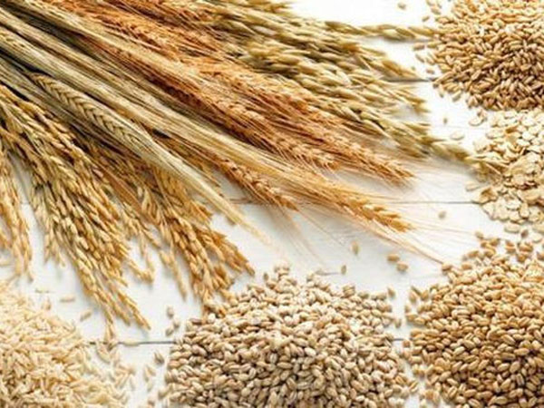 Giá lương thực  tăng cao kỷ lục, mối đe dọa toàn cầu