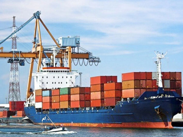 Vụ 100 container hạt điều bị lừa xuất khẩu sang Italy giờ ra sao?