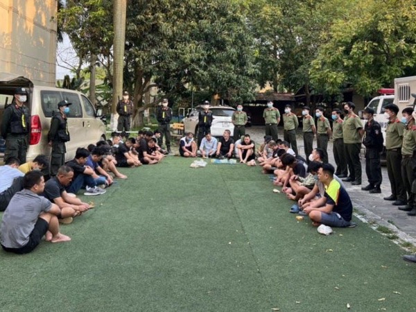 Triệt phá sới đá gà ăn tiền quy mô lớn nằm trong trang trại