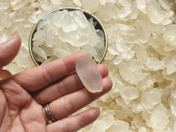 Loại 'gạo khổng lồ' trong veo, giá đắt đỏ bà nội trợ vẫn thích mê