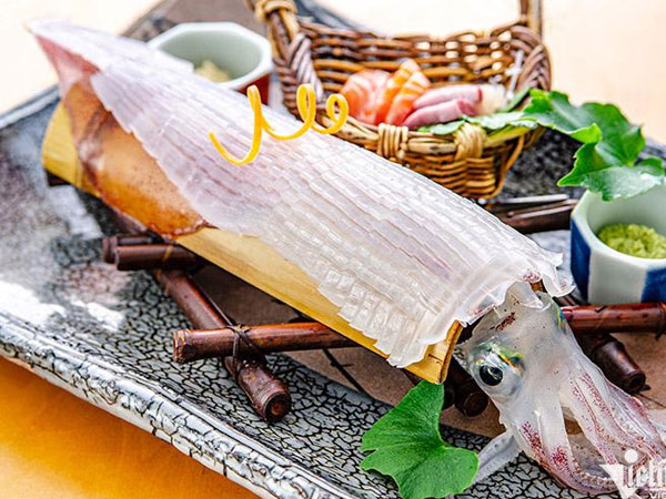 Bắt con mực tươi sống biển Hà Tĩnh, xuất thẳng sang Nhật ăn liền