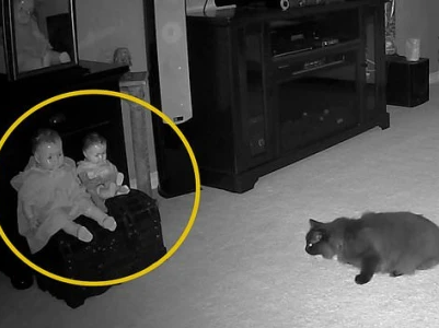 Xem camera, người phụ nữ hoảng hồn phát hiện cảnh đáng sợ trong nhà khiến mèo cưng bỏ chạy thục mạng