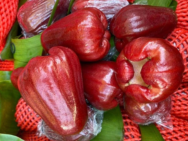 Đặc sản roi đỏ An Phước mất giá 5 lần, rẻ chưa từng có