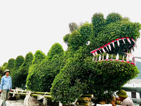 Xôn xao với hình ảnh 'siêu phẩm rồng xanh' ở Hạ Long khiến cư dân mạng ngao ngán