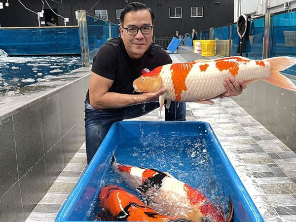 'Vua cá Koi' Thắng Ngô là ai?