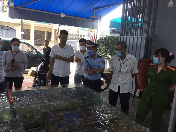 Lãnh đạo TP.Nha Trang nói gì về bữa hải sản giá 42,5 triệu đồng?