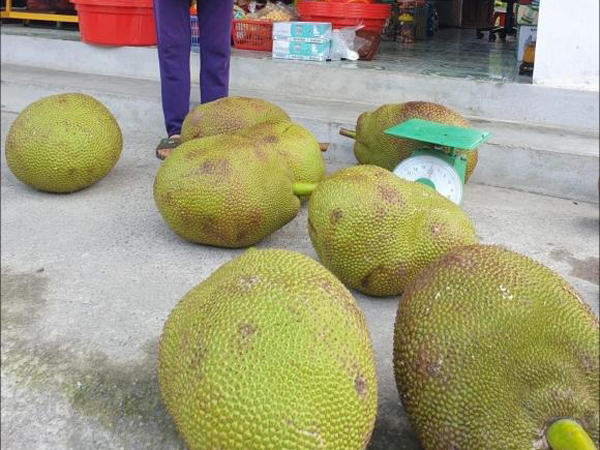 Ảnh bìa bài viết 822710
