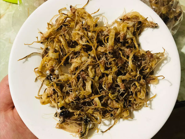 Loài côn trùng sống vài giờ, mỗi năm chỉ có một lần thành đặc sản bạc triệu ở Hà Nội