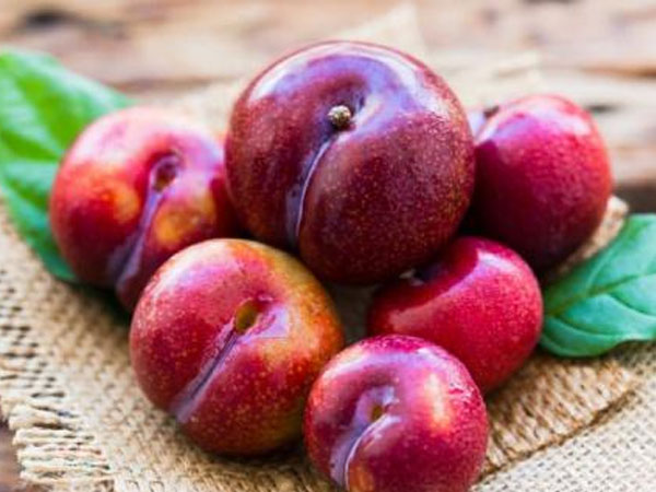 Quả mận có rất nhiều lợi ích sức khỏe tuyệt vời, nhưng những người này dù thèm mấy cũng không nên ăn kẻo mang họa vào thân