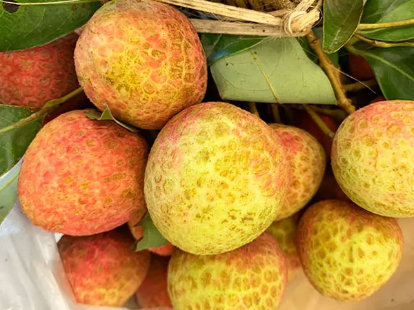 Đắt nhất chợ Hà Nội: Vải thiều u trứng 160.000 đồng/kg vẫn ‘cháy hàng’
