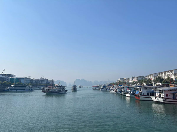 Du khách tham quan vịnh Hạ Long rơi từ tàu xuống biển tử vong