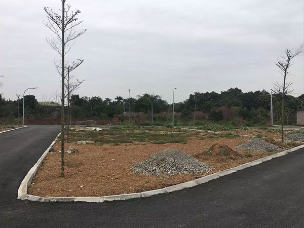 Ôm mảnh ruộng ngàn m2 rồi bỏ hoang: Giấc mộng 10 năm ăn cú đậm