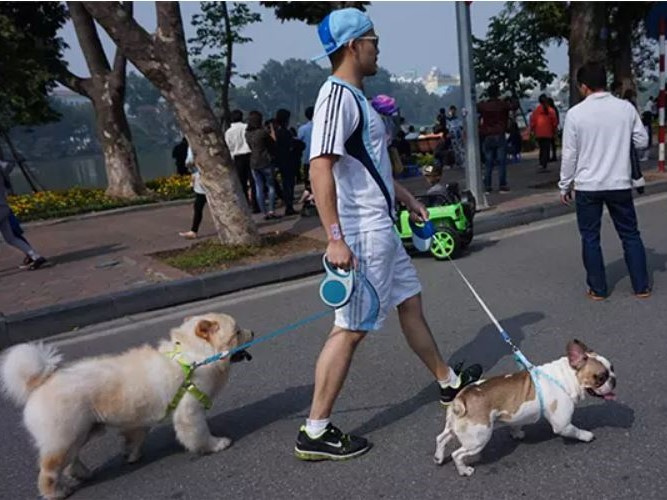 Hà Nội cấm mang chó mèo, loa công suất lớn vào phố đi bộ hồ Gươm