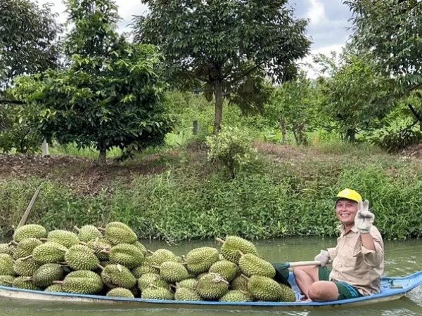 Trung Quốc ‘ăn hàng’: Đang phải đổ bỏ bất ngờ đắt hàng, nông dân lãi đậm