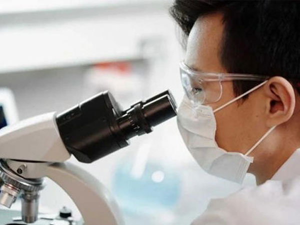 Nguồn gốc lây lan khó hiểu của bệnh đậu mùa khỉ