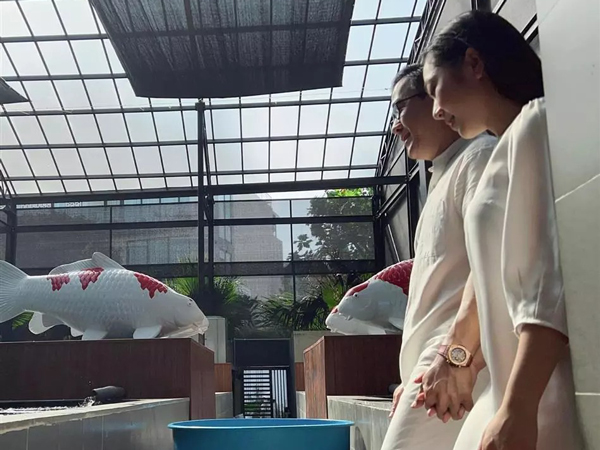 Vua cá Koi gọi Hà Thanh Xuân là 'con gái kiếp trước'