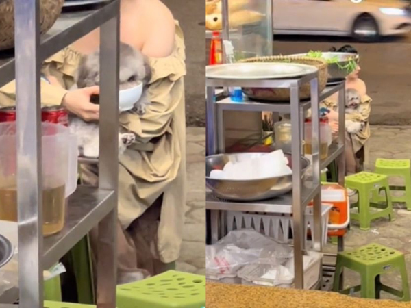 Gái đi cho chó cưng 'xơi' trực tiếp bằng bát dành cho người tại quán ăn khiến dân tình tranh cãi ầm ĩ