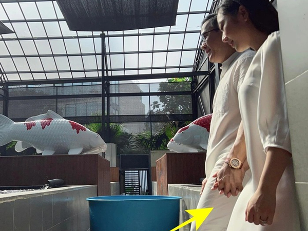 Bị dân mạng mỉa mai sau câu nói Hà Thanh Xuân là 'con gái kiếp trước', 'vua cá Koi' gay gắt đáp trả