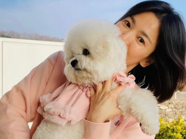 Song Hye Kyo có thật sự đang ổn?