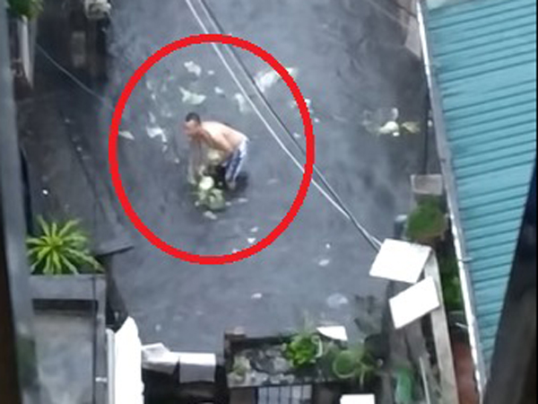 Dở khóc dở cười hình ảnh người đàn ông 'hôi của' 2 cây bắp cải đi lạc dưới mưa ngập ở Hà Nội