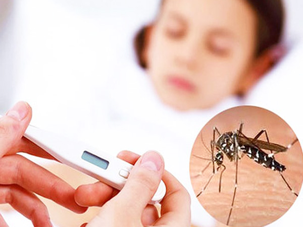 Trẻ sốt xuất huyết 3-7 ngày đầu là thời điểm dễ trở nặng, nhiều biến chứng: BS khuyên cha mẹ làm ngay 1 điều