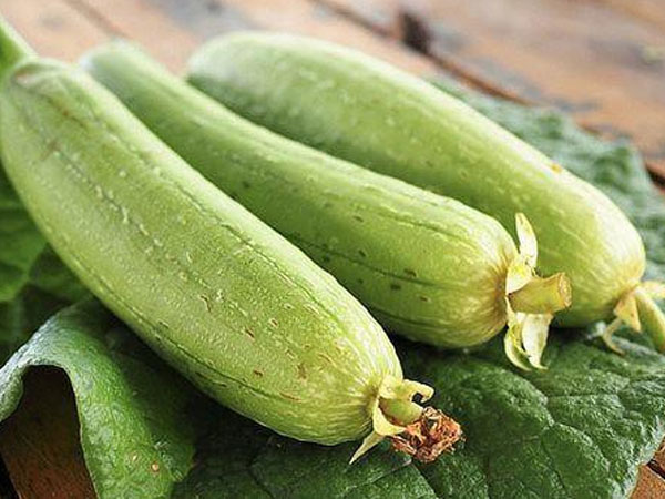 Ăn mướp nếu thấy dấu hiệu này phải bỏ ngay kẻo mất mạng