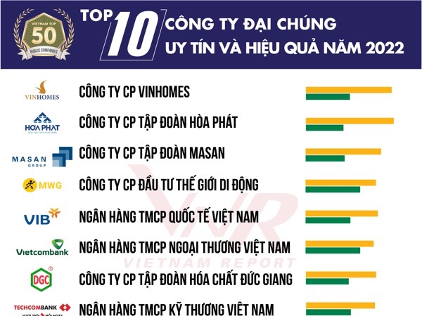 Top 50 Công ty Đại chúng Uy tín và Hiệu quả năm 2022