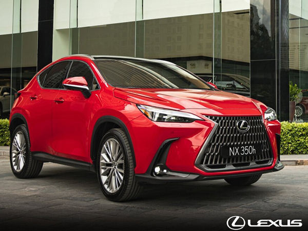 Cận cảnh Lexus NX 350h 2022 giá 3,3 tỷ đồng tại Việt Nam