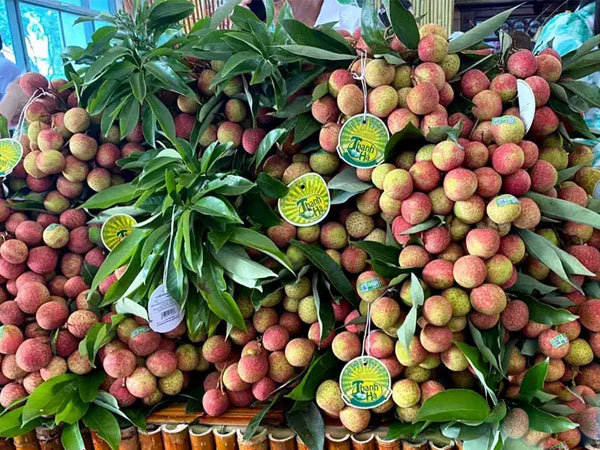 Đắt nhất 650.000 đồng/kg: giật mình giá vải thiều Việt Nam ở nước ngoài