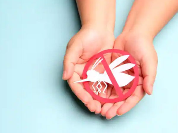 Sốt xuất huyết gia tăng: 6 cách hiệu quả để bảo vệ bản thân