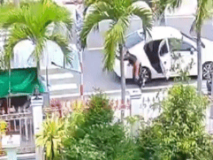 Thanh niên đi ô tô ăn trộm 4 trái dừa khiến cộng đồng mạng bức xúc