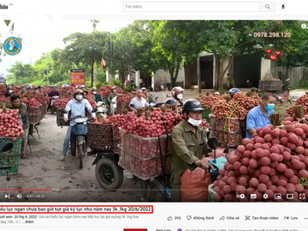 Bắc Giang lên tiếng về thông tin vải thiều giá 5 nghìn đồng/kg