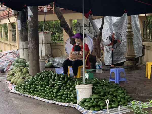 Loại quả siêu thực phẩm tràn chợ Hà Nội, giá siêu rẻ vẫn ế