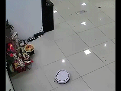 'Hiện đại đâm hại điện': Cô chủ phát cáu vì chiếc máy hút bụi cứ tự nhiên 'xin lộc' trên bàn thờ