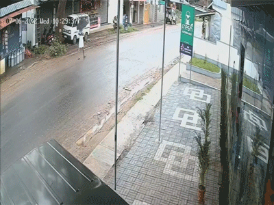 Lọt đúng khe giữa hai cành cây, người đàn ông thoát chết kỳ diệu