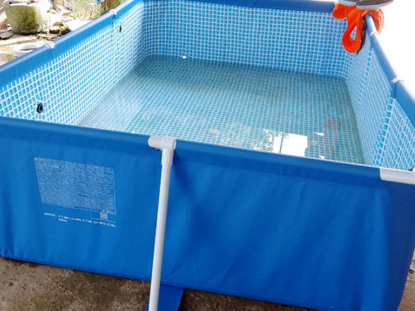 Bé gái 3 tuổi đuối nước thương tâm khi tắm bể bơi mini tại nhà