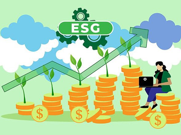 Đầu tư ESG: Thế giới đang sôi sục, nhà đầu tư Việt đã hiểu đến đâu?