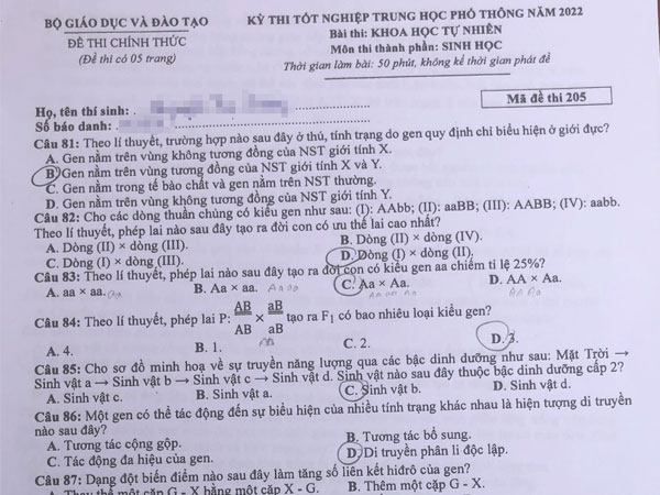 Đề và gợi ý đáp án môn thi tổ hợp Khoa học tự nhiên: Vật lý - Hóa học - Sinh học tốt nghiệp THPT 2022