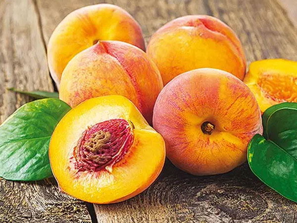 Loại quả tiêu diệt ung thư, giúp tăng cường tuổi thọ