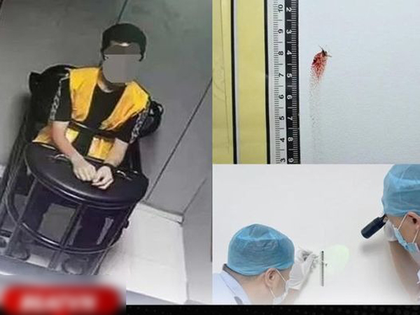 Vụ án gay cấn như phim truyền hình: Cảnh sát phá án trong 'một nốt nhạc' chỉ nhờ một con muỗi chết